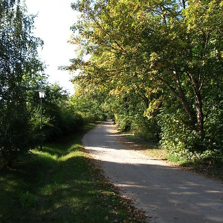 Ferienhaus Am Klosterwald Dargun Экстерьер фото
